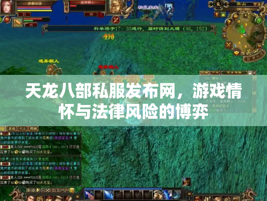 天龙八部私服发布网，游戏情怀与法律风险的博弈
