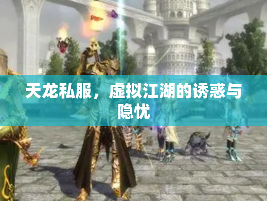 天龙私服，虚拟江湖的诱惑与隐忧