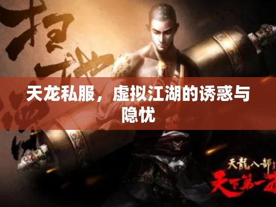 天龙私服，虚拟江湖的诱惑与隐忧