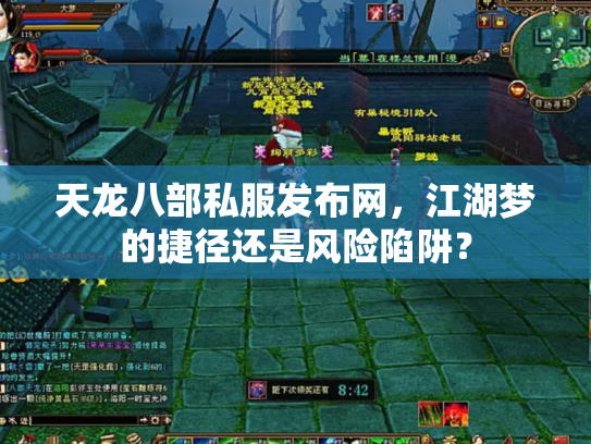 天龙八部私服发布网，江湖梦的捷径还是风险陷阱？