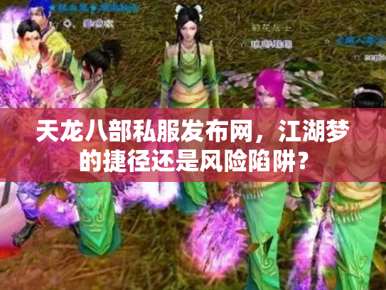 天龙八部私服发布网，江湖梦的捷径还是风险陷阱？