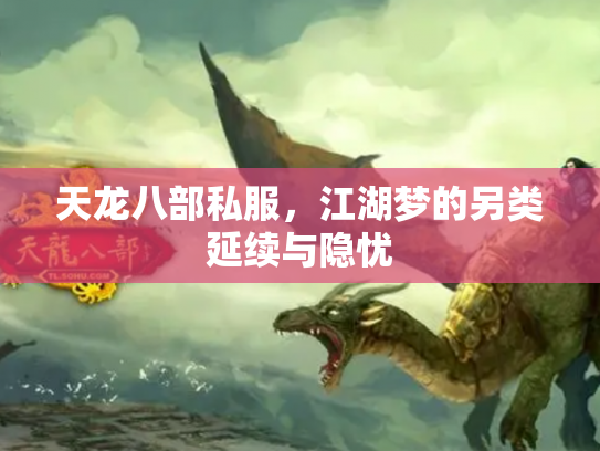 天龙八部私服，江湖梦的另类延续与隐忧