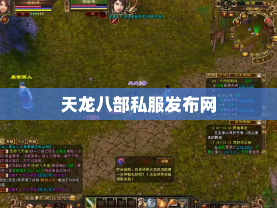 天龙八部私服发布网