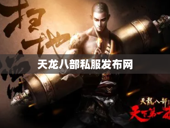 天龙八部私服发布网