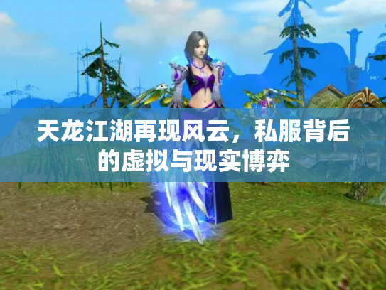 天龙江湖再现风云，私服背后的虚拟与现实博弈