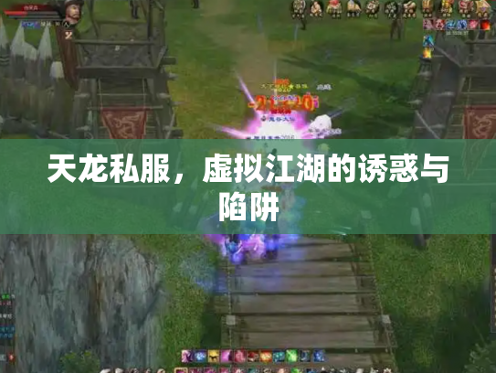 天龙私服，虚拟江湖的诱惑与陷阱