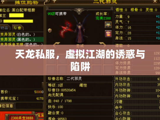 天龙私服，虚拟江湖的诱惑与陷阱