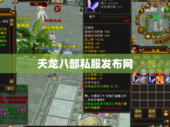 天龙八部私服发布网