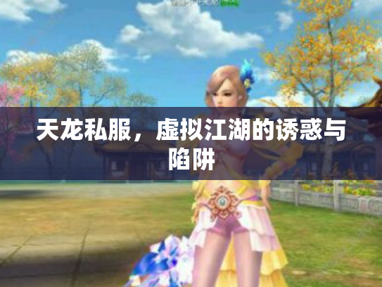 天龙私服，虚拟江湖的诱惑与陷阱