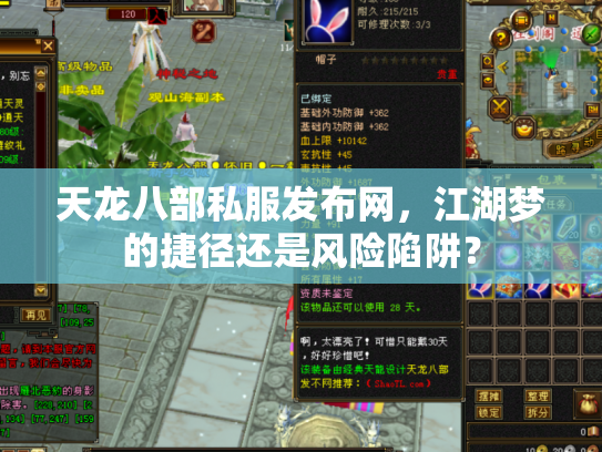 天龙八部私服发布网，江湖梦的捷径还是风险陷阱？