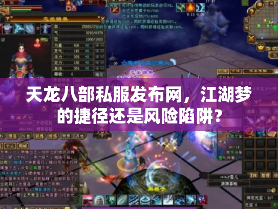 天龙八部私服发布网，江湖梦的捷径还是风险陷阱？