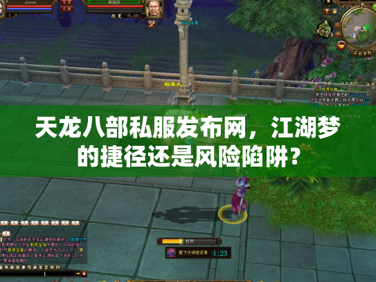 天龙八部私服发布网，江湖梦的捷径还是风险陷阱？