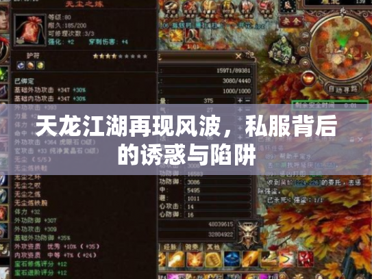 天龙江湖再现风波，私服背后的诱惑与陷阱