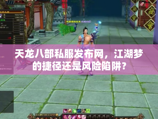 天龙八部私服发布网，江湖梦的捷径还是风险陷阱？