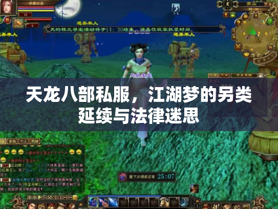 天龙八部私服，江湖梦的另类延续与法律迷思