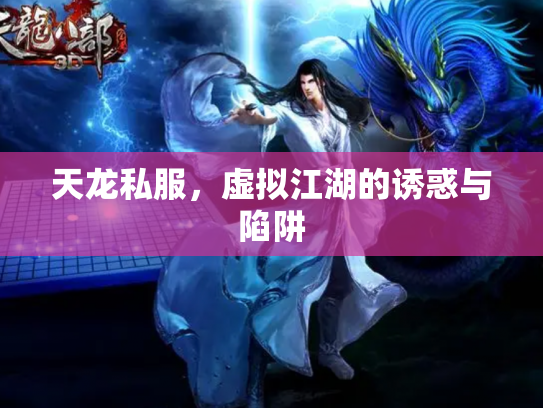 天龙私服，虚拟江湖的诱惑与陷阱