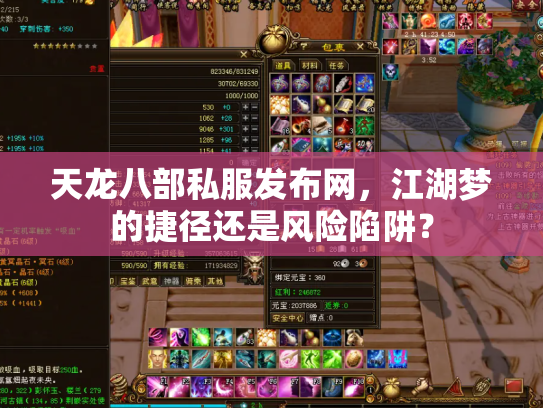 天龙八部私服发布网，江湖梦的捷径还是风险陷阱？