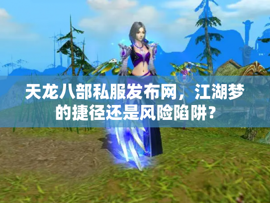 天龙八部私服发布网，江湖梦的捷径还是风险陷阱？