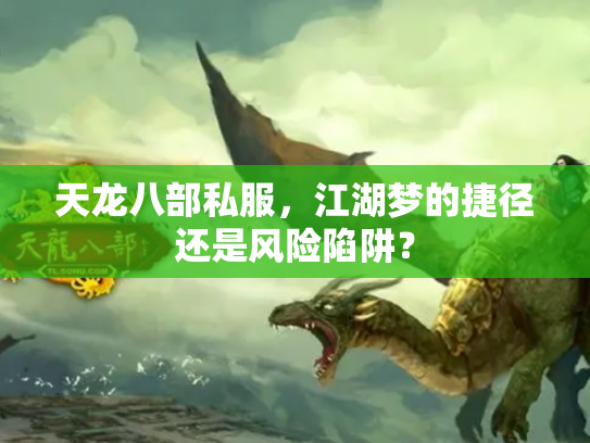 天龙八部私服，江湖梦的捷径还是风险陷阱？
