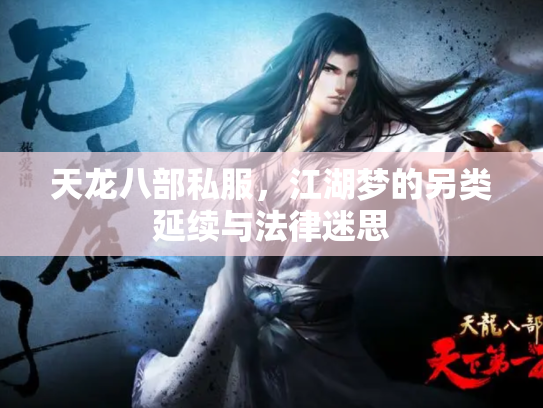 天龙八部私服，江湖梦的另类延续与法律迷思