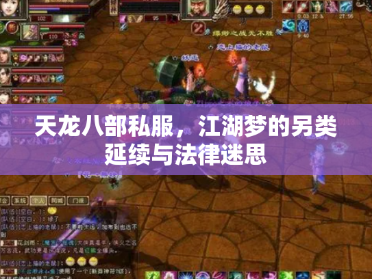 天龙八部私服，江湖梦的另类延续与法律迷思