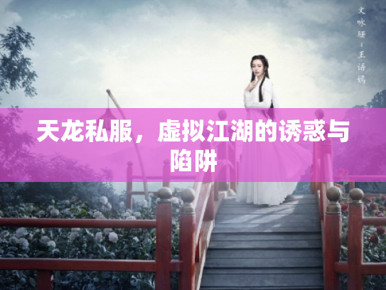 天龙私服，虚拟江湖的诱惑与陷阱