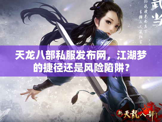 天龙八部私服发布网，江湖梦的捷径还是风险陷阱？