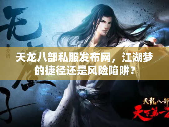 天龙八部私服发布网，江湖梦的捷径还是风险陷阱？