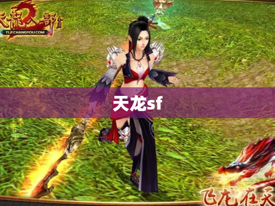 天龙sf