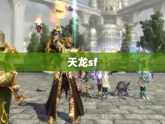 天龙sf