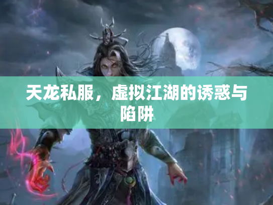 天龙私服，虚拟江湖的诱惑与陷阱