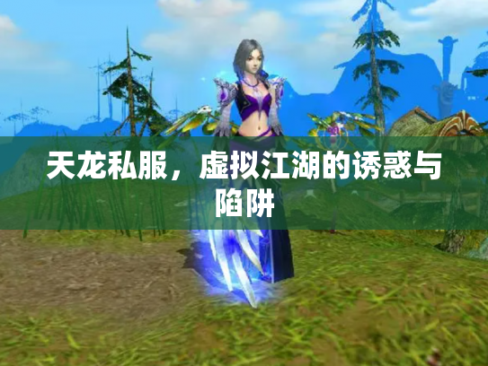 天龙私服，虚拟江湖的诱惑与陷阱