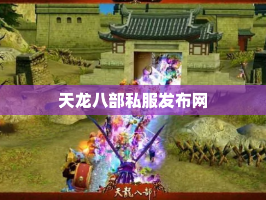 天龙八部私服发布网