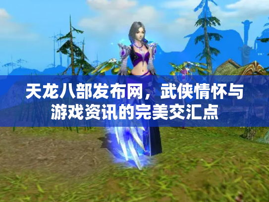 天龙八部发布网，武侠情怀与游戏资讯的完美交汇点