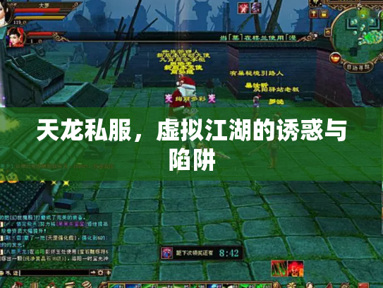 天龙私服，虚拟江湖的诱惑与陷阱