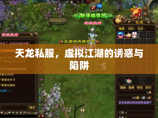 天龙私服，虚拟江湖的诱惑与陷阱