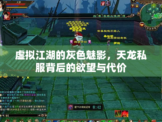 虚拟江湖的灰色魅影，天龙私服背后的欲望与代价