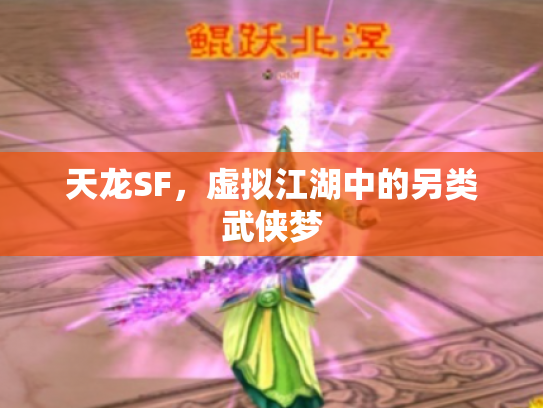 天龙SF，虚拟江湖中的另类武侠梦
