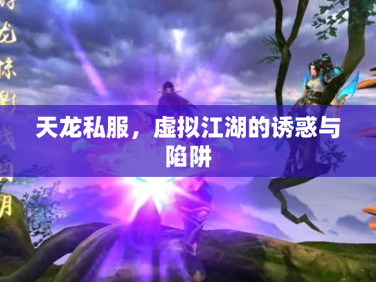 天龙私服，虚拟江湖的诱惑与陷阱