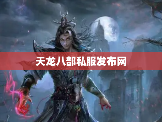 天龙八部私服发布网
