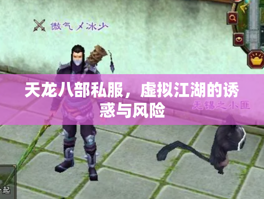 天龙八部私服，虚拟江湖的诱惑与风险