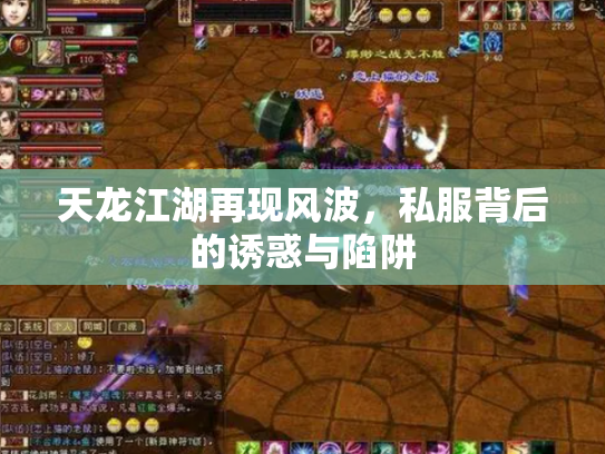 天龙江湖再现风波,私服背后的诱惑与陷阱 天龙江湖再现风波,私服背后的诱惑与陷阱