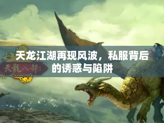 天龙江湖再现风波,私服背后的诱惑与陷阱 天龙江湖再现风波,私服背后的诱惑与陷阱
