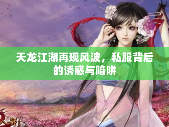 天龙江湖再现风波,私服背后的诱惑与陷阱 天龙江湖再现风波,私服背后的诱惑与陷阱