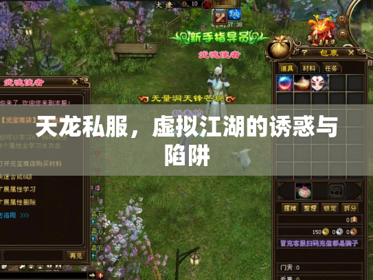 天龙私服，虚拟江湖的诱惑与陷阱