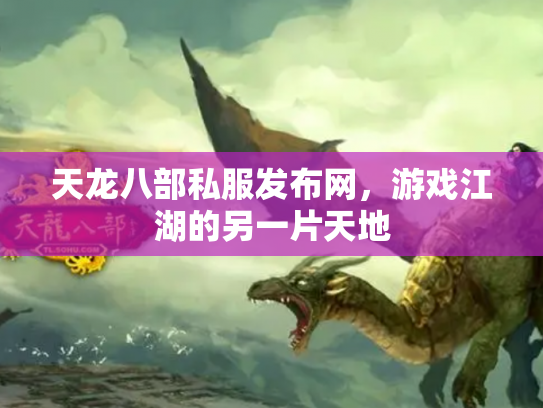 天龙八部私服发布网，游戏江湖的另一片天地