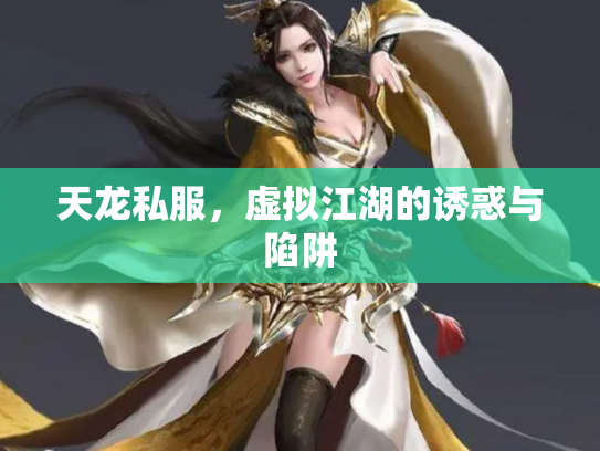 天龙私服，虚拟江湖的诱惑与陷阱