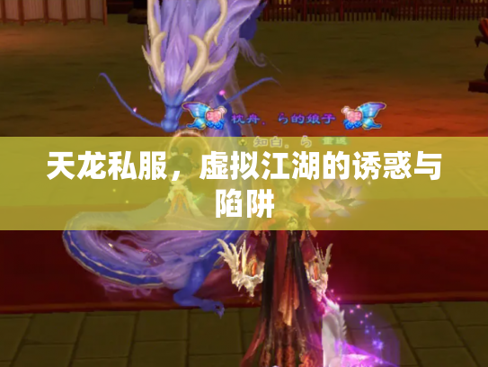 天龙私服，虚拟江湖的诱惑与陷阱