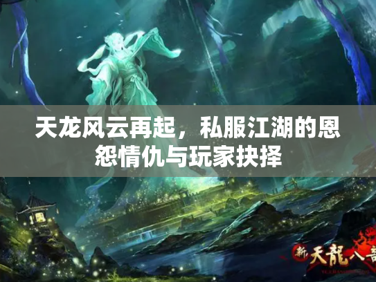 天龙风云再起，私服江湖的恩怨情仇与玩家抉择