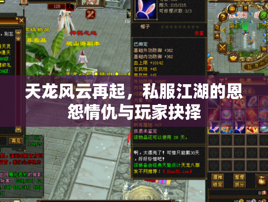 天龙风云再起，私服江湖的恩怨情仇与玩家抉择